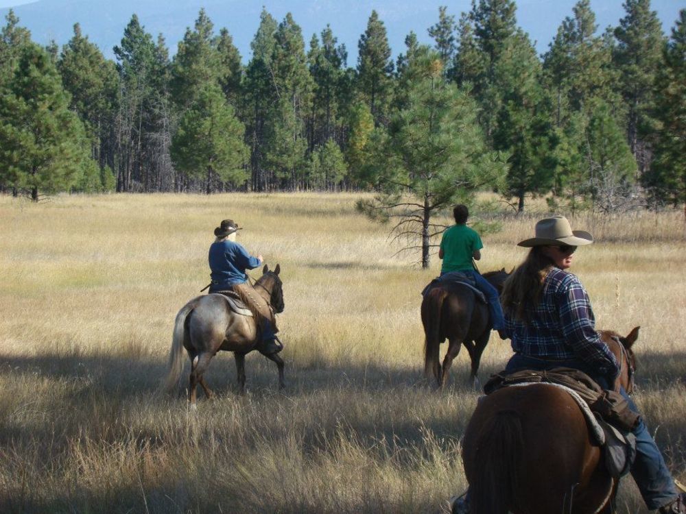 Dream Haven Guest Ranch Hotel Marion Exterior foto
